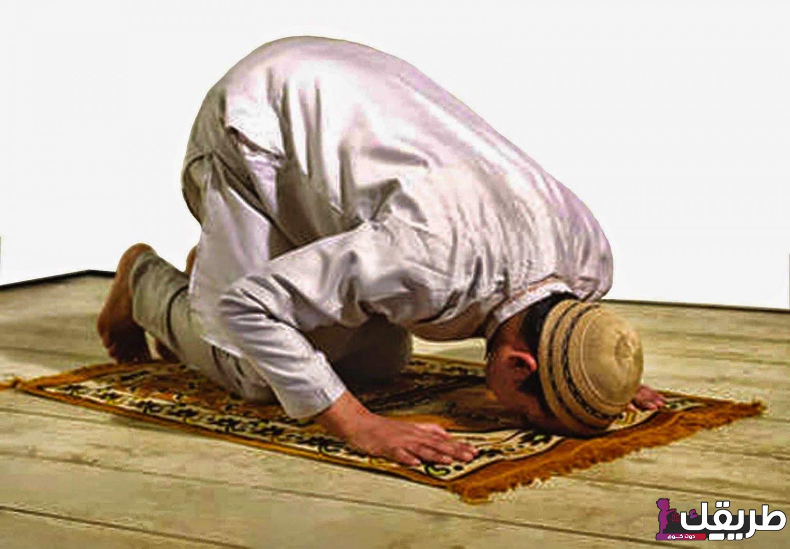 صلاة التهجد تبدأ ليلة 20 او 21 وكيف يمكن أدائها؟ 10 723467467877668